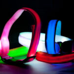 Weihnachts-Geschenktipps | 4 Your Pet – LED Sicherheitshalsband für Hunde